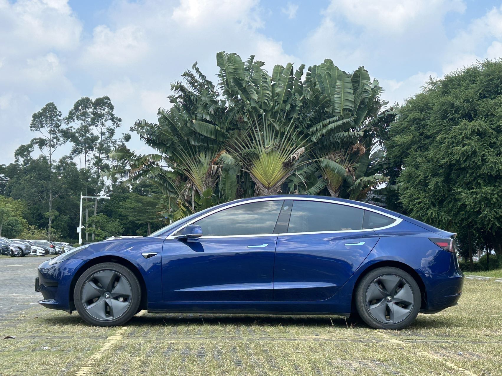 Tesla Model 3 2019 #4 Tesla Model 3 2019 car image #4