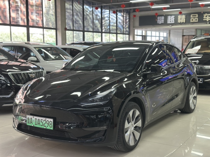 Tesla Model Y 2023 Tesla Model Y 2023 car image
