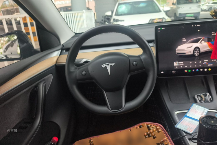 Tesla Model Y 2022 car image #12