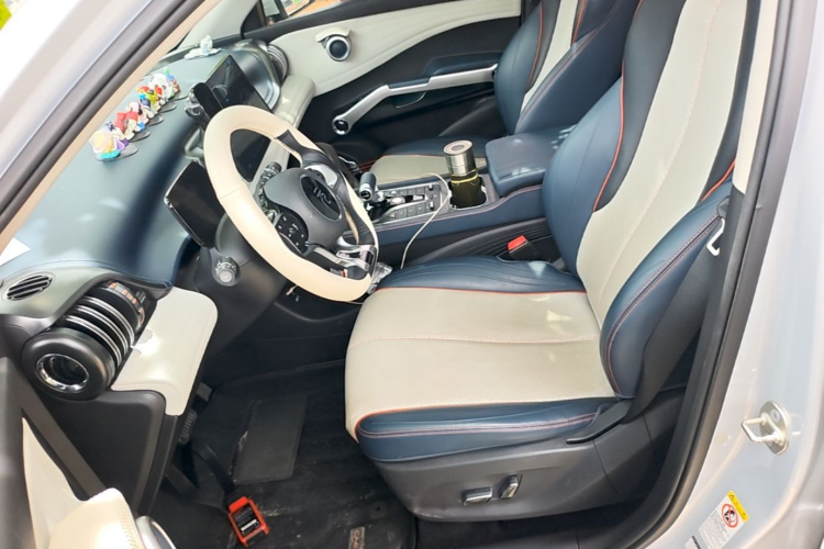 BYD Yuan Plus 2023 car image #19