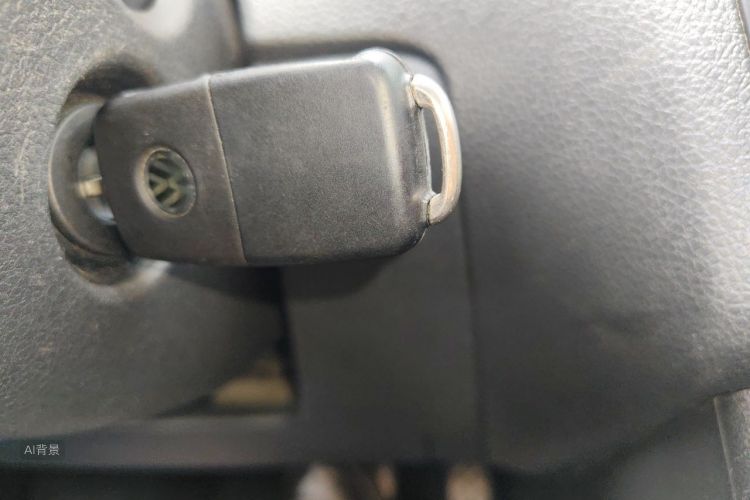 Volkswagen Polo 2019 car image #10