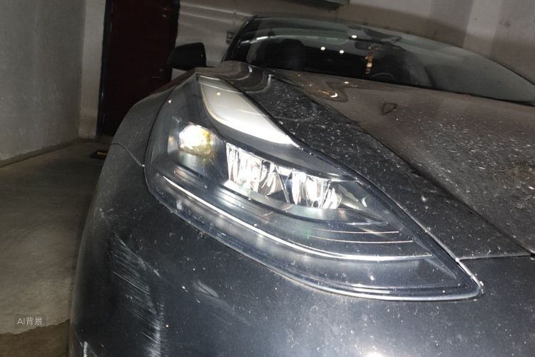Tesla Model 3 2021 #8 Tesla Model 3 2021 car image #8