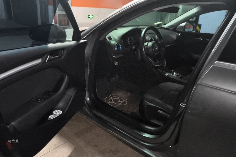 Audi A3 2019 car image #18
