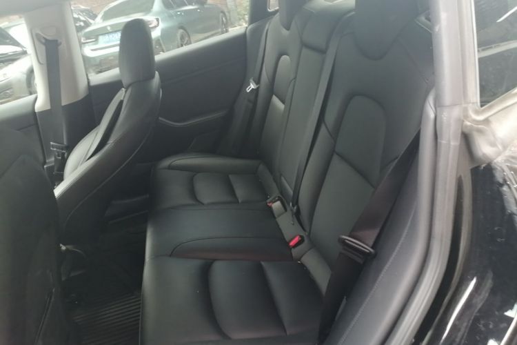 Tesla Model 3 2023 #17 Tesla Model 3 2023 car image #17