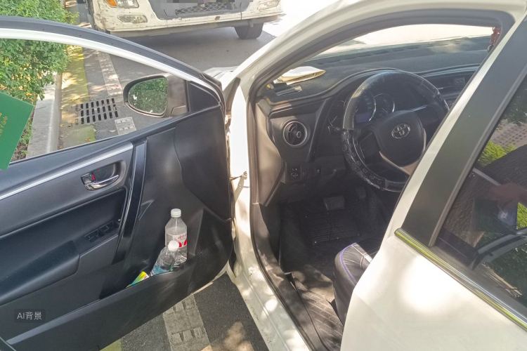 Toyota Corolla 2018 car image #18