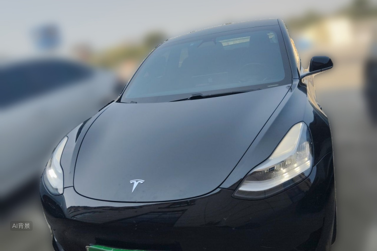 Tesla Model 3 2020 #3 Tesla Model 3 2020 car image #3