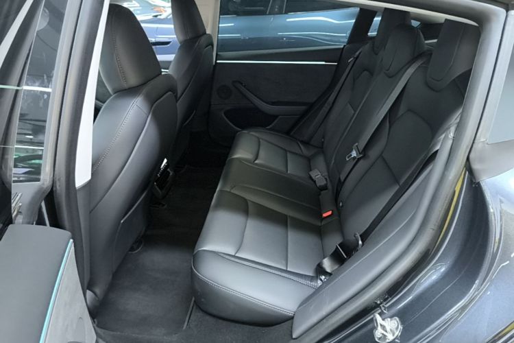 Tesla Model 3 2023 imagem de carro #17