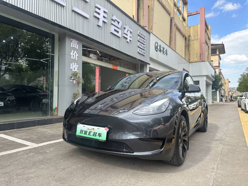 Tesla Model Y 2024 car image 