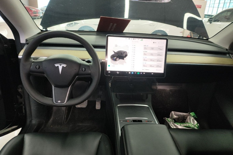 Tesla Model Y 2023 #10 Tesla Model Y 2023 car image #10