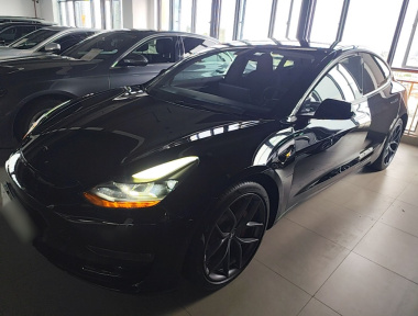 Tesla Model 3 2021 Tesla Model 3 2021 car image