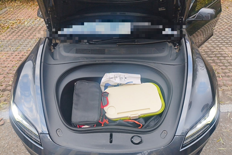 Tesla Model 3 2024 imagem de carro #18