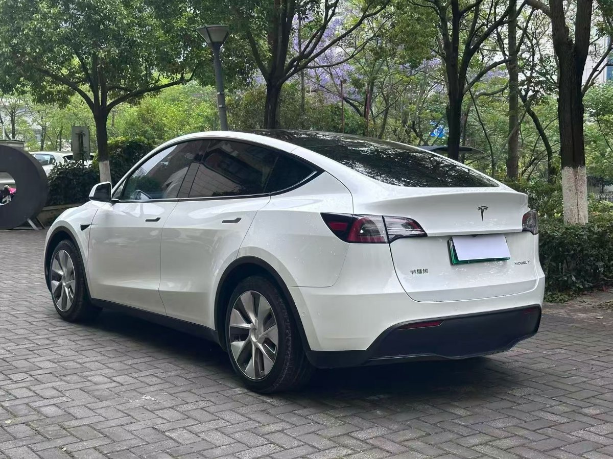 Tesla Model Y 2023 #4 Tesla Model Y 2023 car image #4