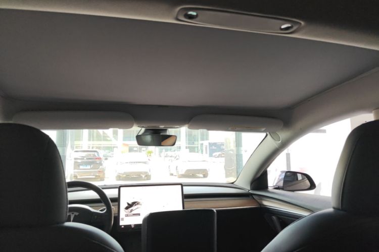 Tesla Model 3 2021 car image #18