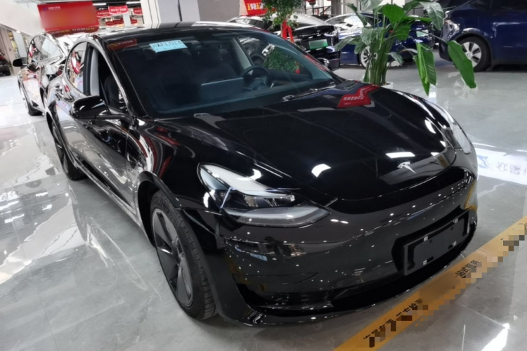 Tesla Model 3 2021 car image #4