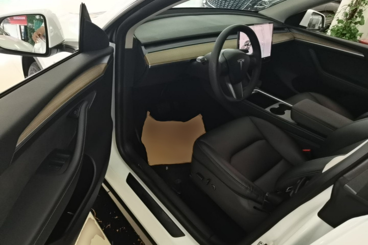 Tesla Model Y 2021 car image #16