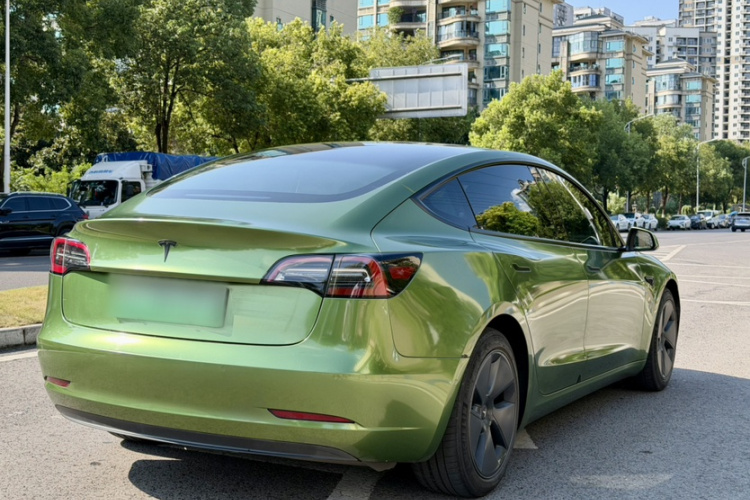 Tesla Model 3 2021 car image #6
