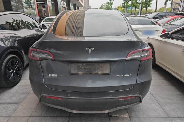 Tesla Model Y 2021 #6 Tesla Model Y 2021 car image #6