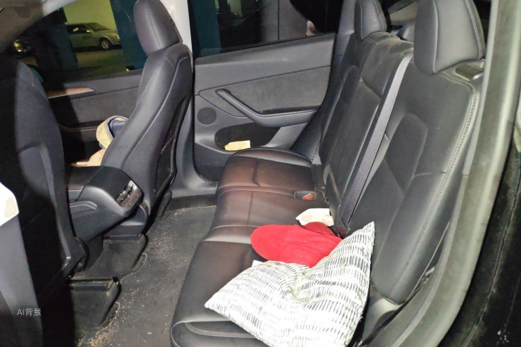 Tesla Model Y 2023 imagen de coche #19