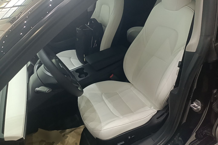 Tesla Model 3 2022 car image #15