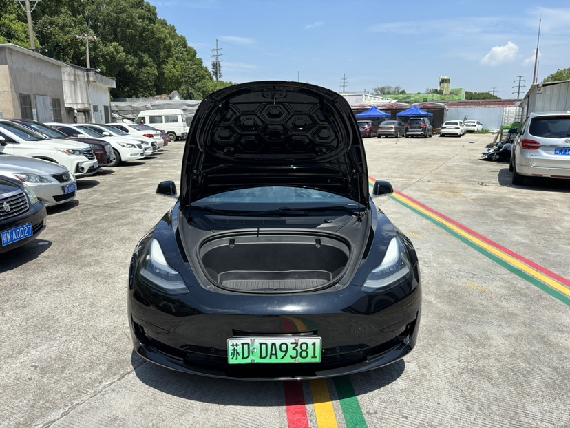 Tesla Model 3 2020 car image #17