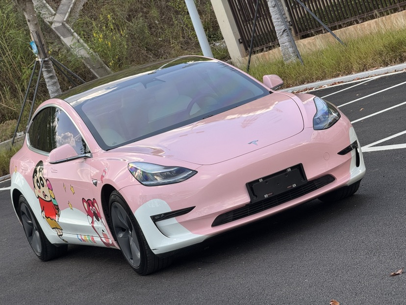 Tesla Model 3 (Imported) 2019 #2 Tesla Model 3 (Imported) 2019 car image #2