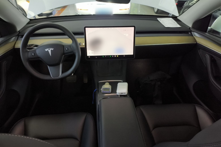 Tesla Model Y 2022 car image #10