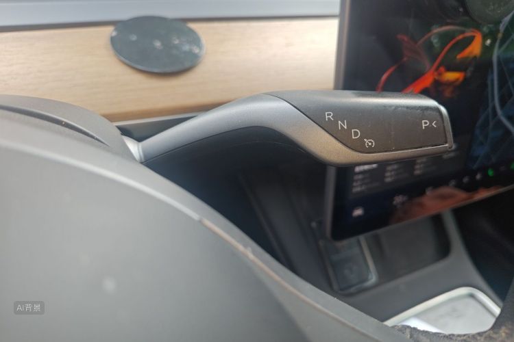 Tesla Model Y 2021 car image #16