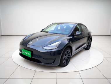 Tesla Model Y 2024 Tesla Model Y 2024 car image