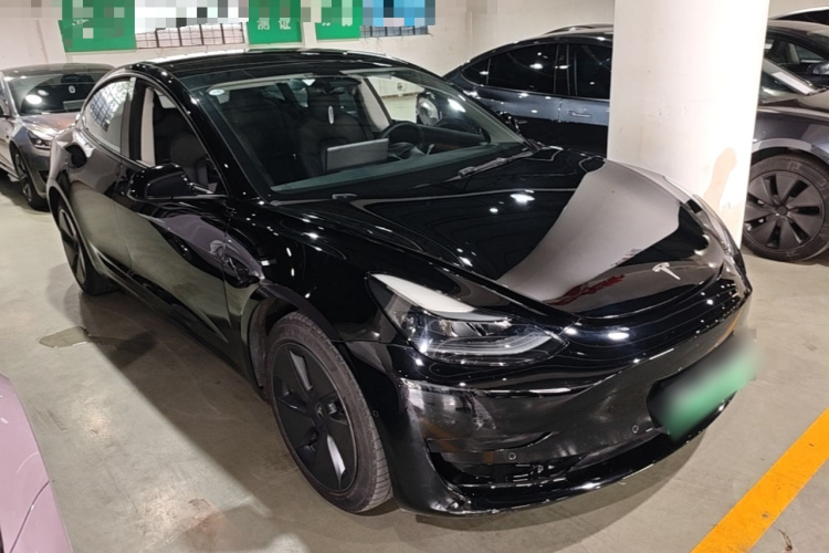 Tesla Model 3 2021 #6 Tesla Model 3 2021 car image #6