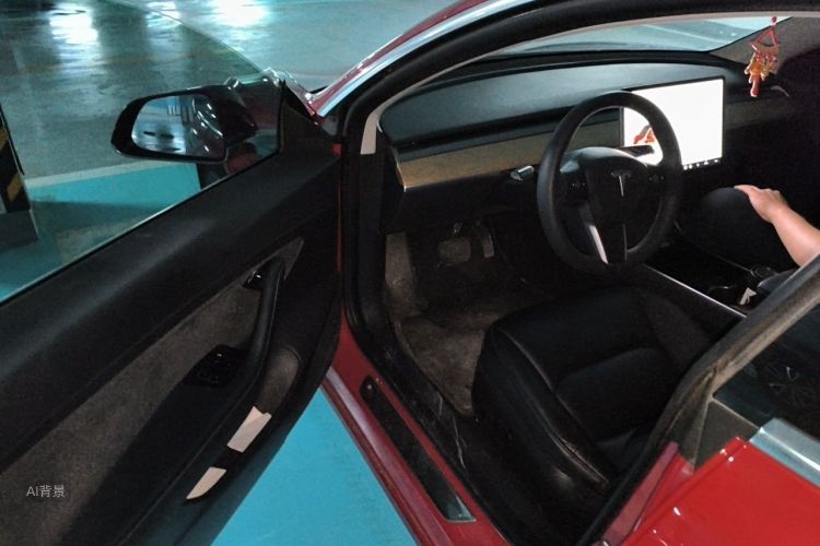 Tesla Model 3 2020 #18 Tesla Model 3 2020 car image #18