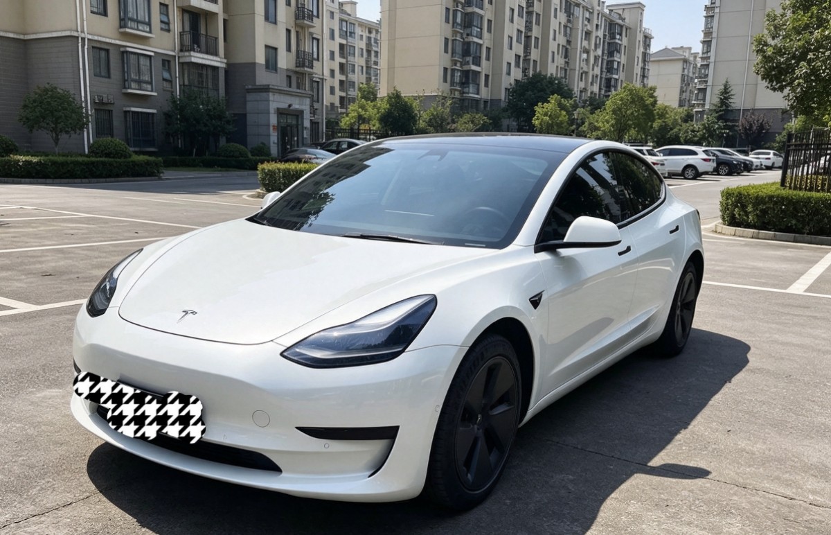 Tesla Model 3 2021 immagine di auto 