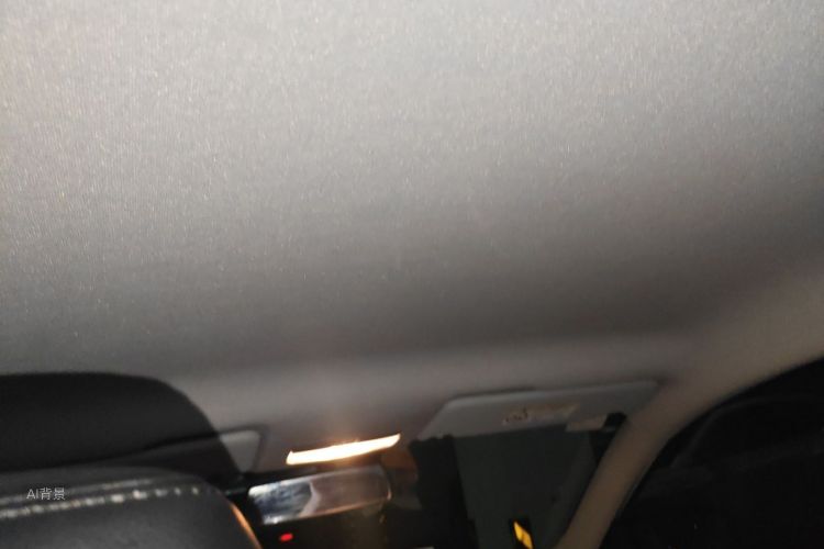 Volkswagen Santana 2020 car image #20