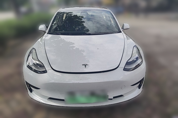 Tesla Model 3 2019 #3 Tesla Model 3 2019 car image #3