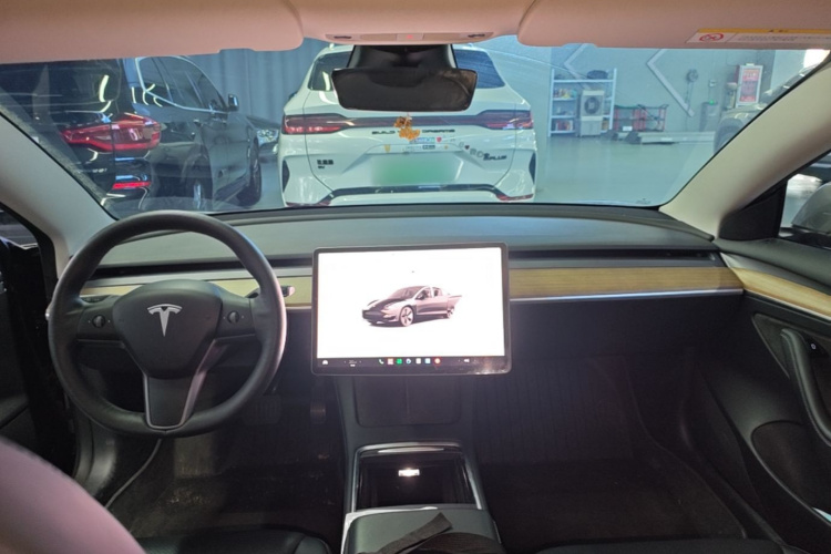 Tesla Model 3 2022 car image #10