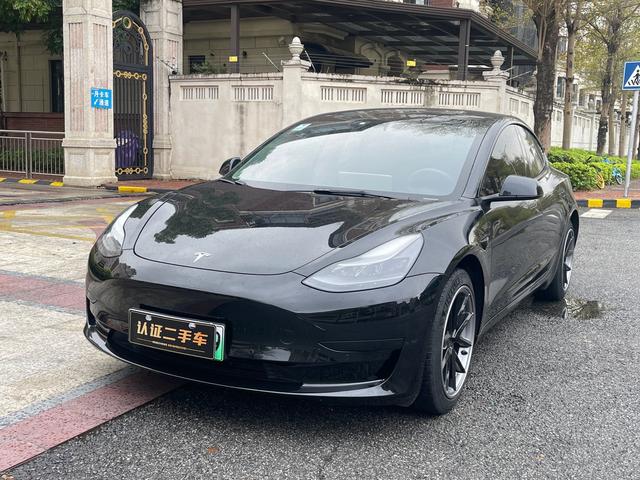 Tesla Model 3 2021 #16 Tesla Model 3 2021 car image #16
