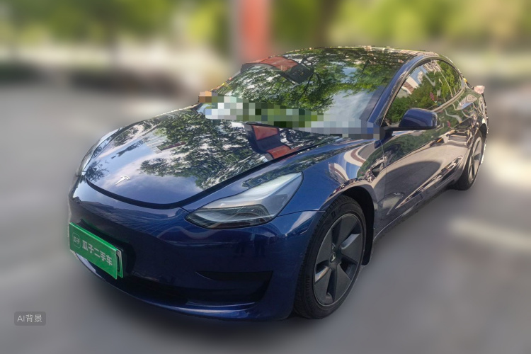 Tesla Model 3 2021 #2 Tesla Model 3 2021 car image #2