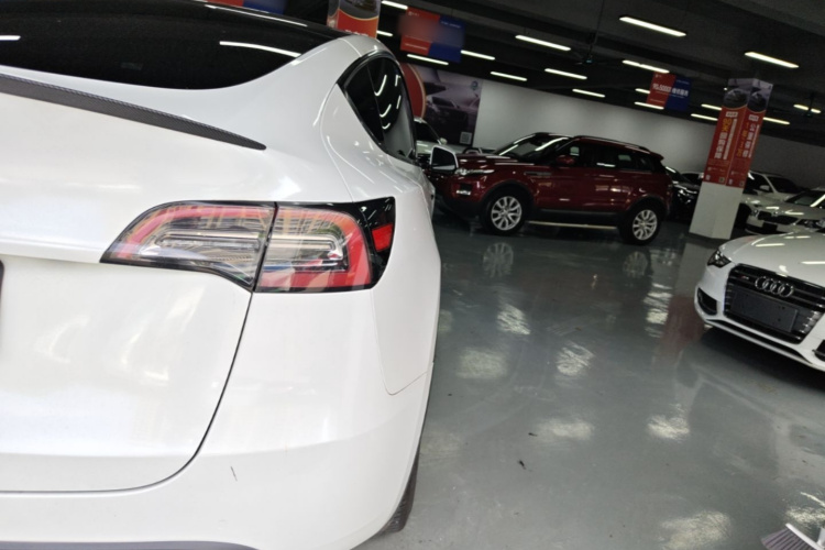 Tesla Model Y 2022 #8 Tesla Model Y 2022 car image #8
