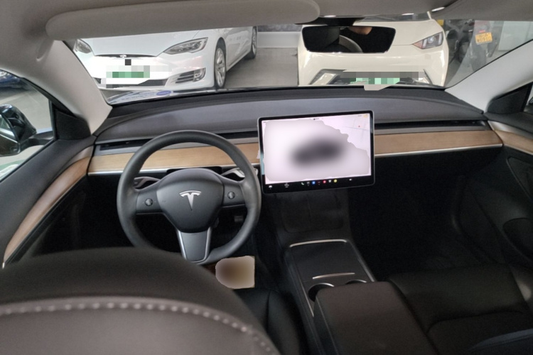 Tesla Model 3 2022 immagine di auto #10