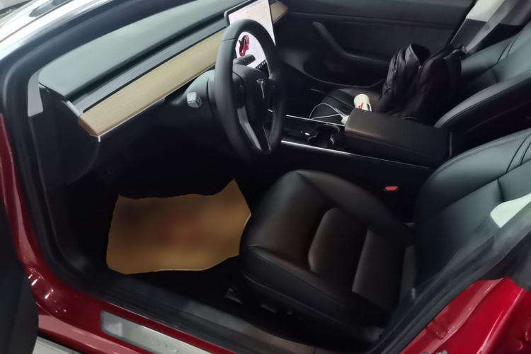 Tesla Model 3 2020 car image #19