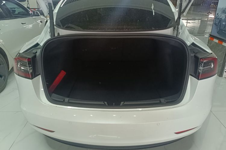 Tesla Model 3 2021 car image #19