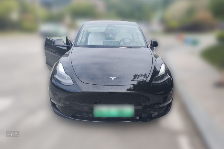Tesla Model Y 2021 #3 Tesla Model Y 2021 car image #3