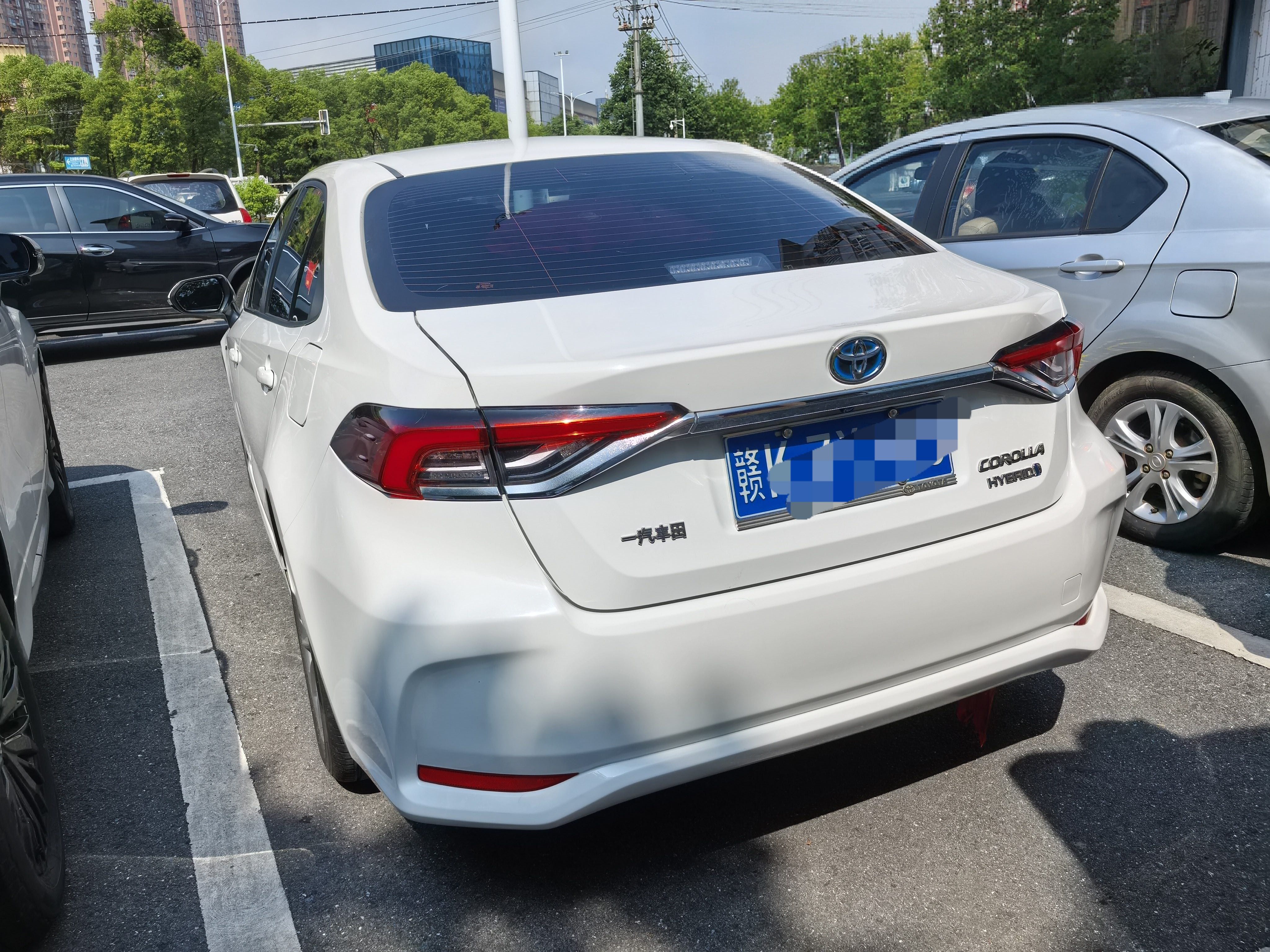 Toyota Corolla 2022 car image #5