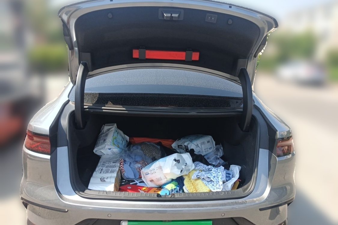 BYD Han 2024 car image #8