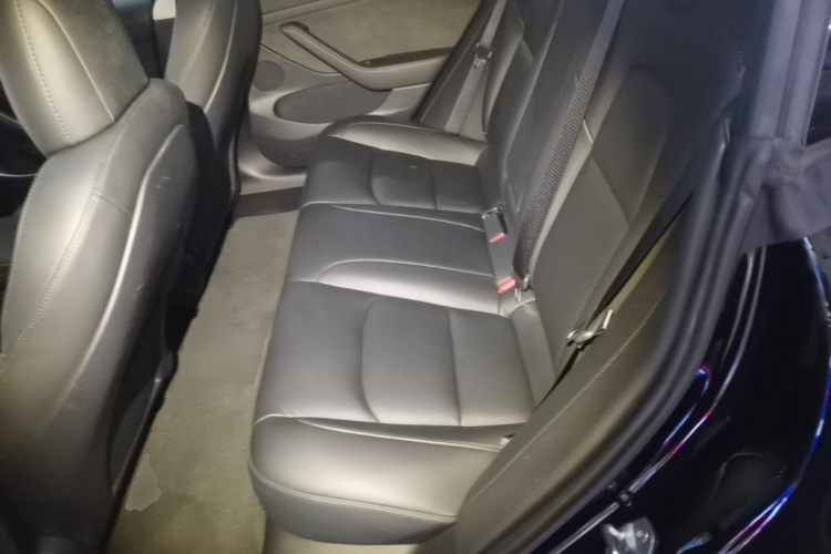 Tesla Model 3 2021 car image #17