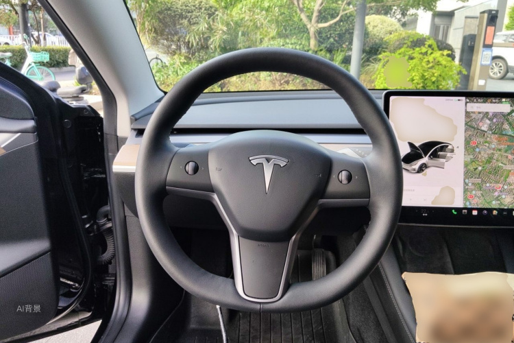 Tesla Model 3 2021 car image #12