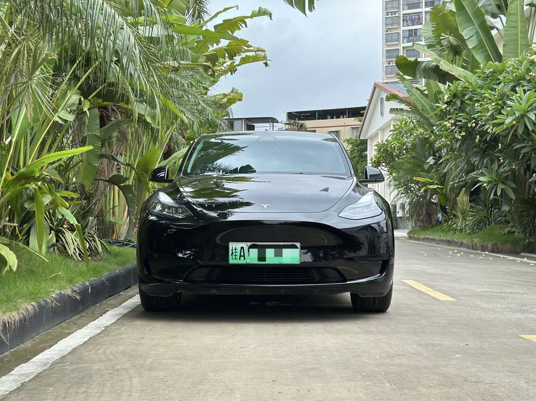 Tesla Model Y 2023 #2 Tesla Model Y 2023 car image #2