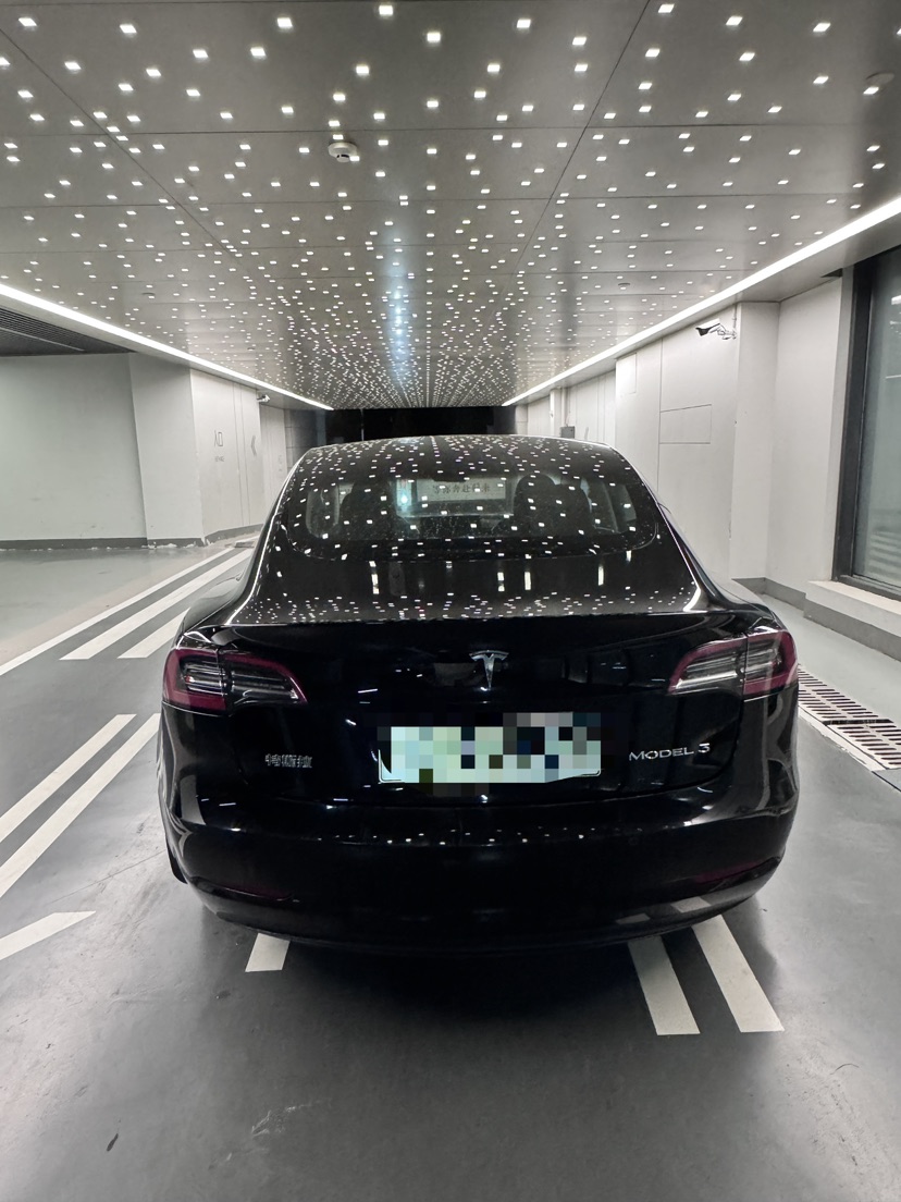 Tesla Model 3 2021 #9 Tesla Model 3 2021 imagen de coche #9