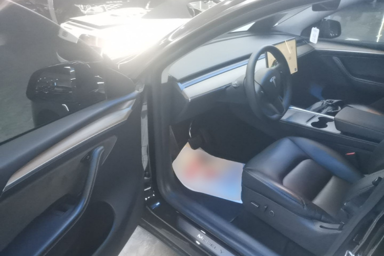 Tesla Model Y 2022 car image #12