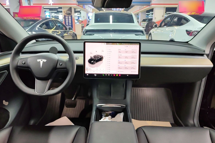 Tesla Model Y 2022 car image #10