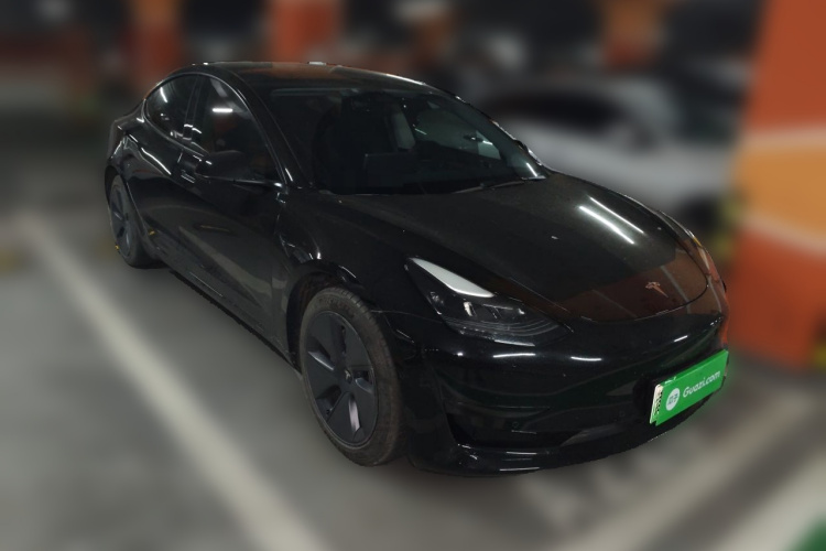Tesla Model 3 2021 #4 Tesla Model 3 2021 car image #4